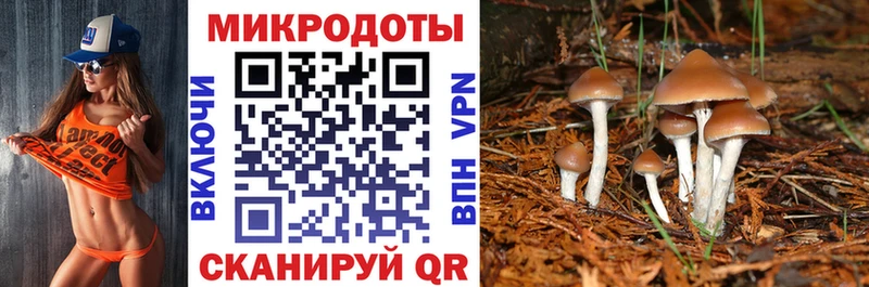 наркошоп Рошаль Псилоцибиновые грибы GOLDEN TEACHER
